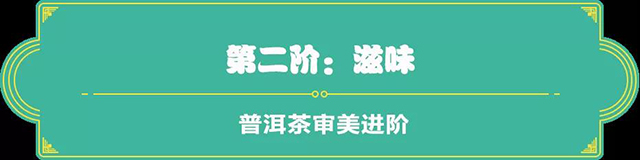 吉普號茶山黑話183：從茶小白到老司機(jī)，普洱茶審美四步進(jìn)階