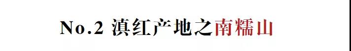 云南除了凤庆，这些地区也产红茶