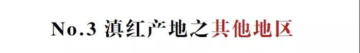 云南除了鳳慶，這些地區(qū)也產(chǎn)紅茶