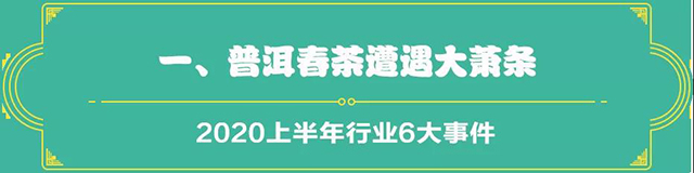 吉普号茶山黑话191：2020茶行业上半年总结