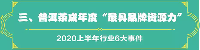 吉普號茶山黑話191：2020茶行業(yè)上半年總結(jié)