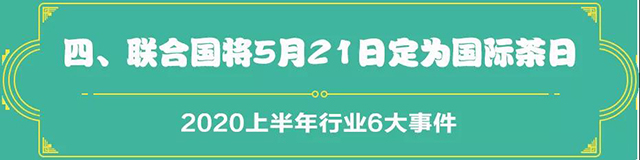 吉普號茶山黑話191：2020茶行業(yè)上半年總結(jié)