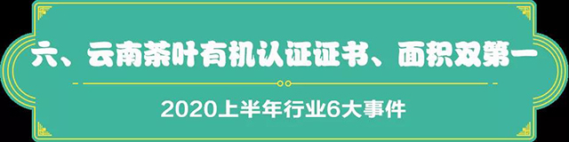 吉普号茶山黑话191：2020茶行业上半年总结