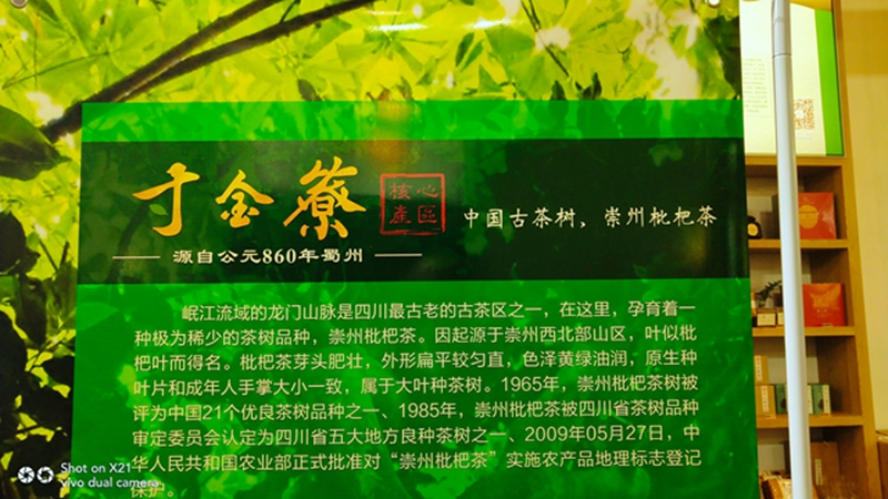 图片直播|寸金农业发展有限公司•第八届四川国际茶业博览会，茶友网在现场