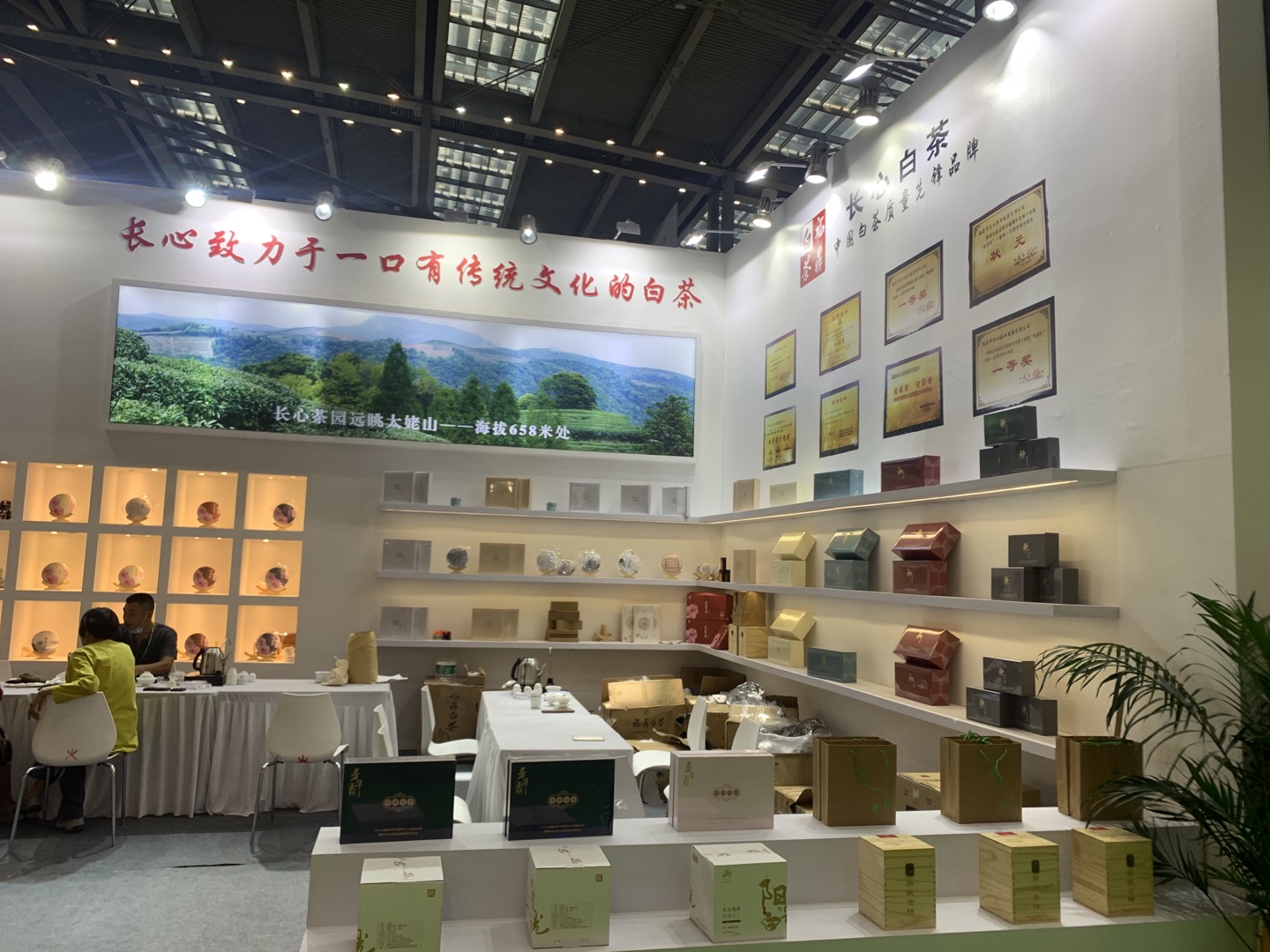 图片直播丨长心白茶2020中国（深圳）国际茶产业博览会，茶友网在现场