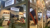 图片直播丨老挝金占芭古树茶2020中国（深圳）国际茶产业博览会，茶友网在现场