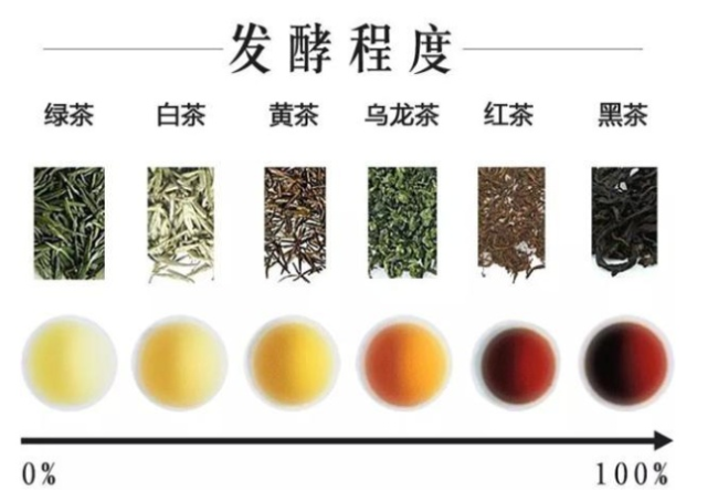 中国传统茶叶入门知识都在这里了，建议收藏