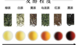 中国传统茶叶入门知识都在这里了，建议收藏