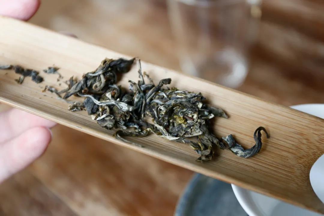 为什么老有人说生普不是绿茶？