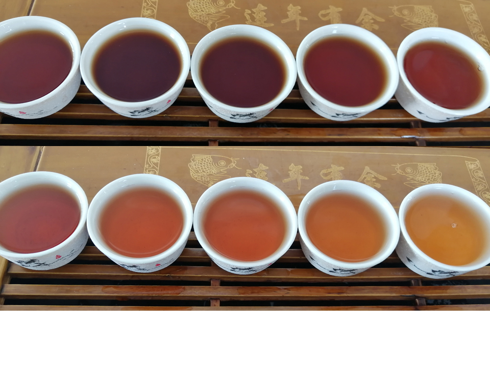 张三说茶：虽然没喝到好茶汤但是学到了普洱茶知识