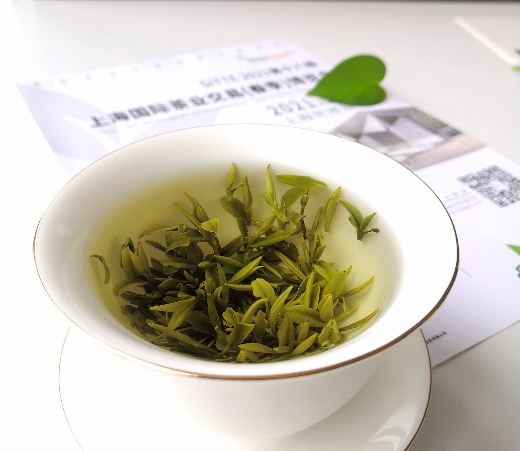 上海茶博会丨存储绿茶这样做，一年四季都能喝到春天的味道
