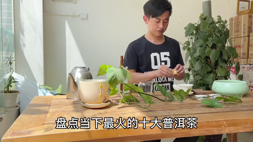 最火的十大普洱茶排名