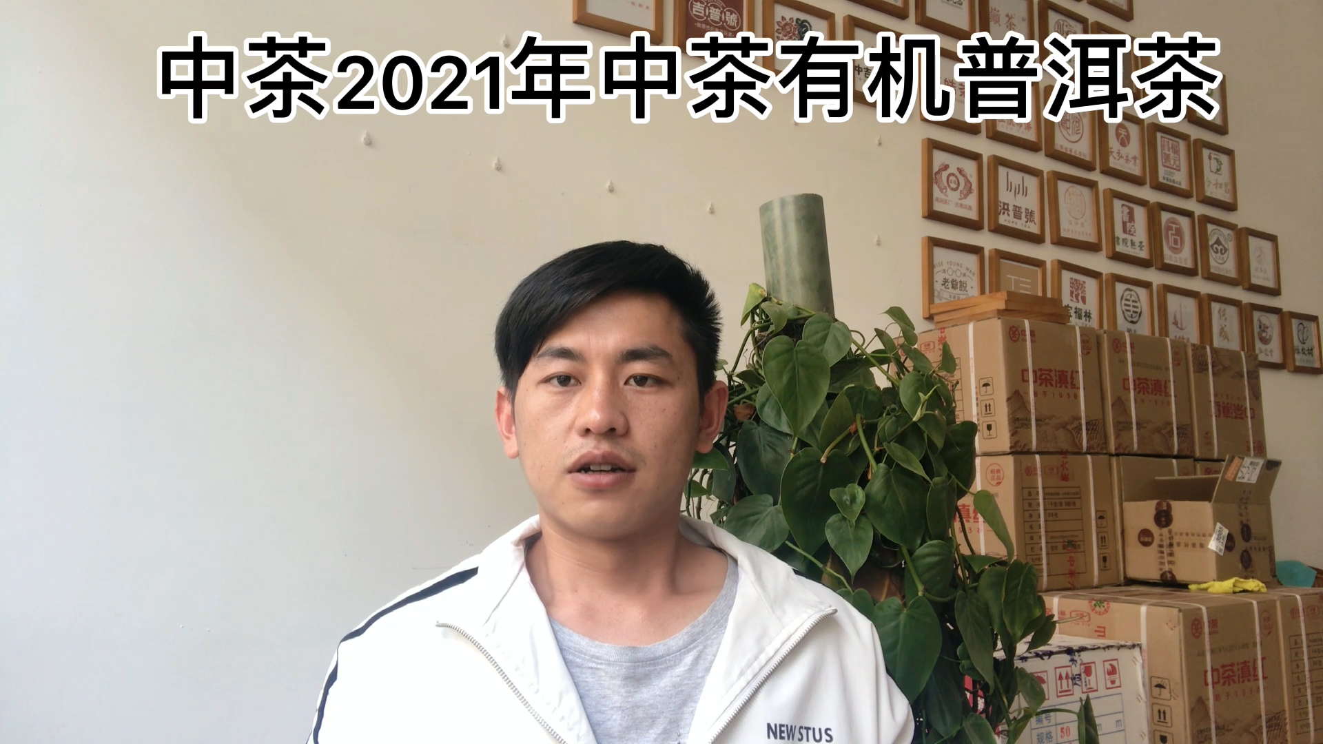 2021年中茶有機(jī)普洱茶（生茶）