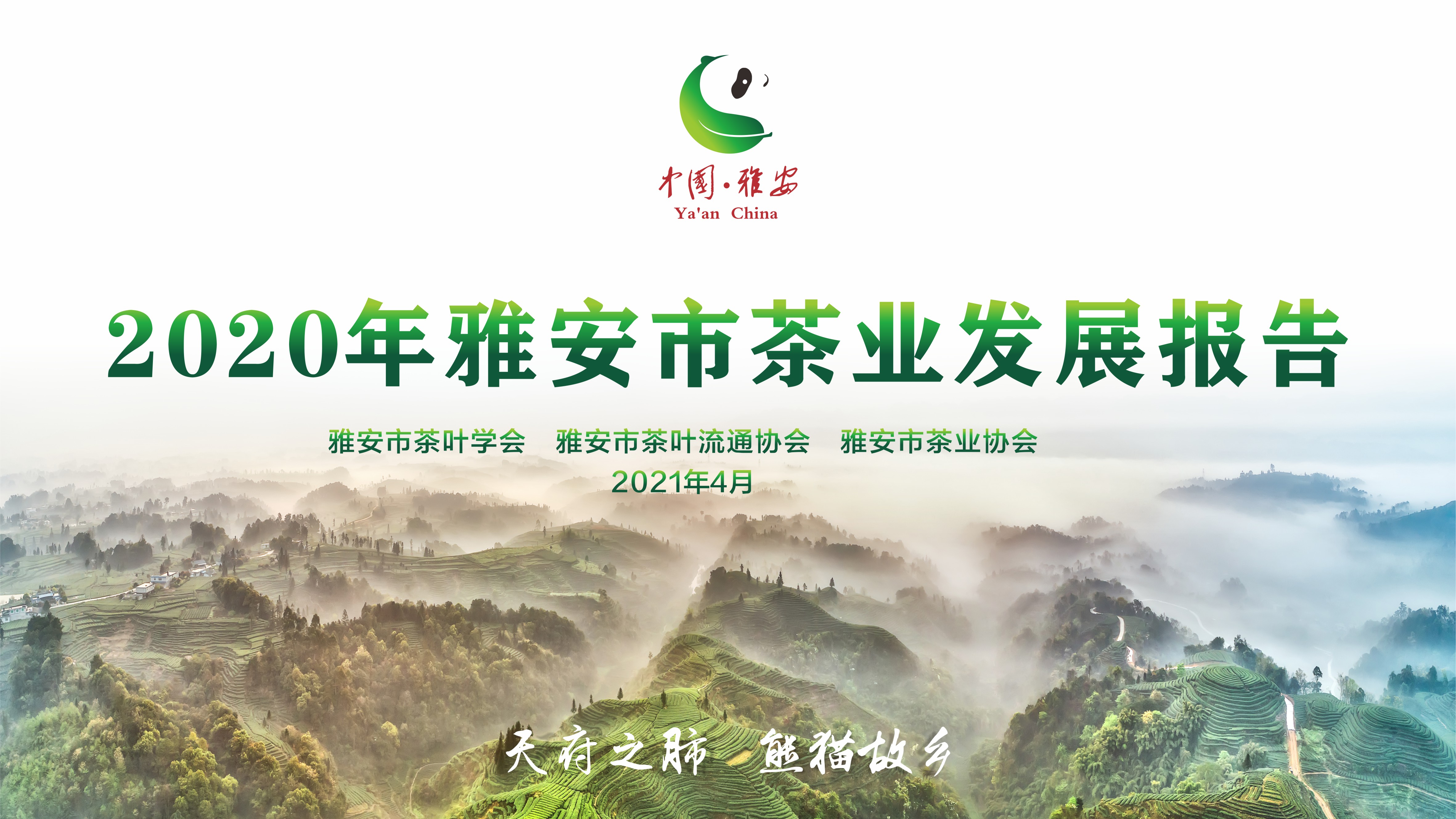 2020年雅安市茶业发展报告在四川茶博会上正式发布