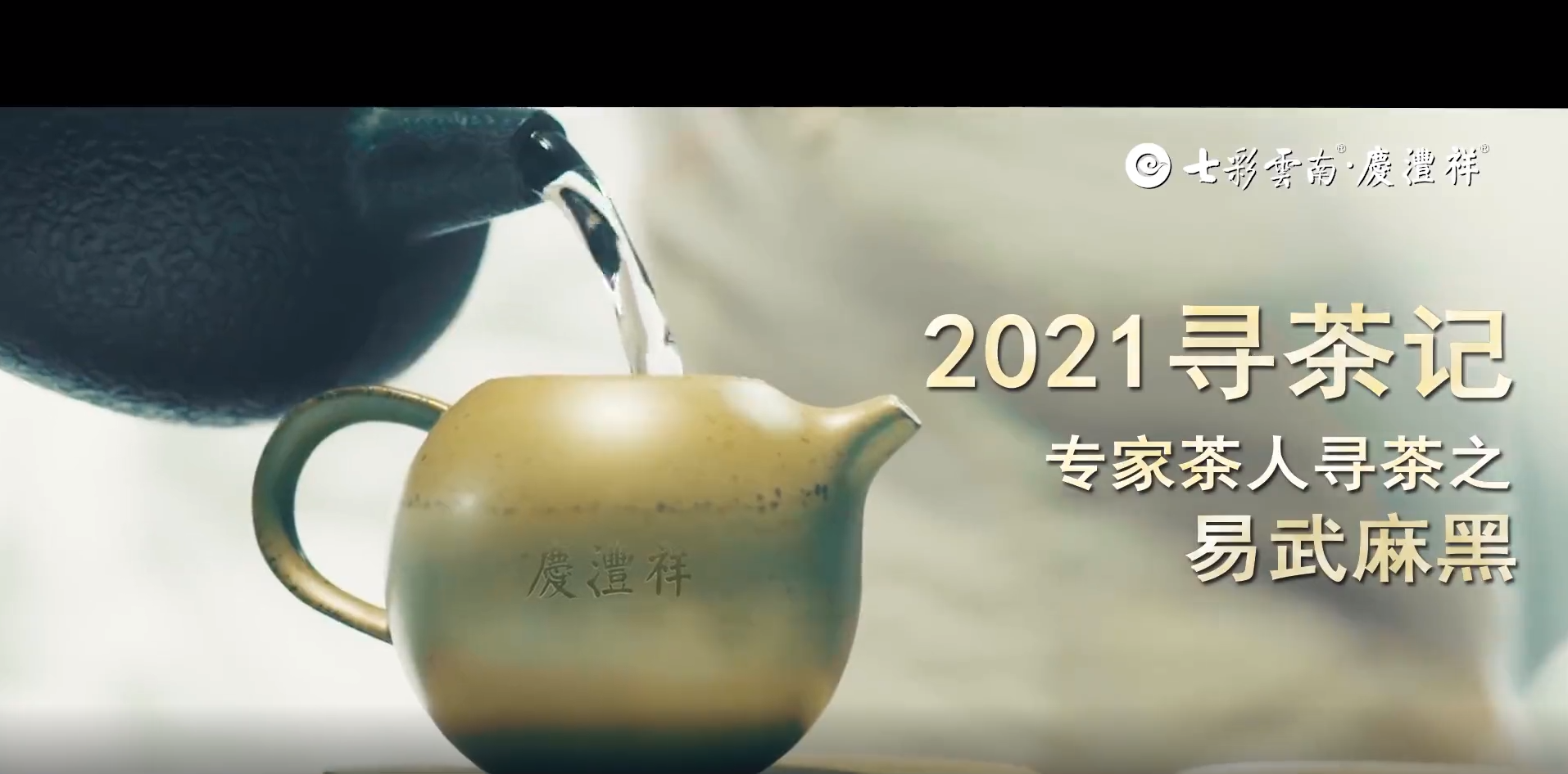 2021寻茶记深度视频丨专家茶人探山识茶——易武麻黑②