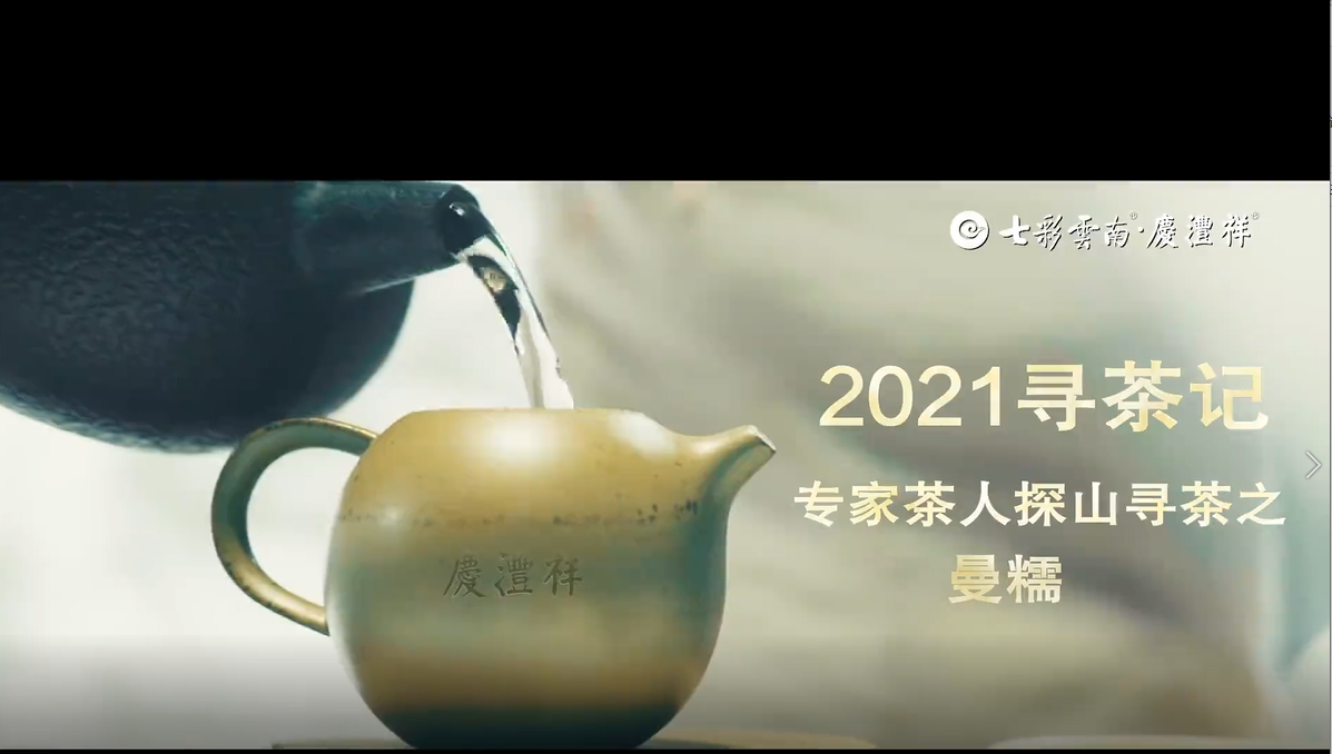 2021寻茶记深度视频丨专家茶人探山识茶——曼糯②