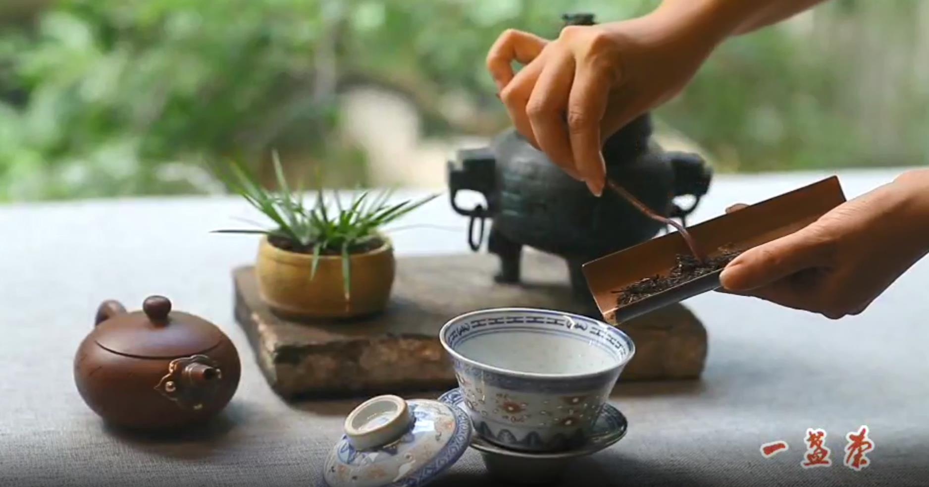【云约茶短视频】喝茶+锔瓷的翔哥-一盏茶