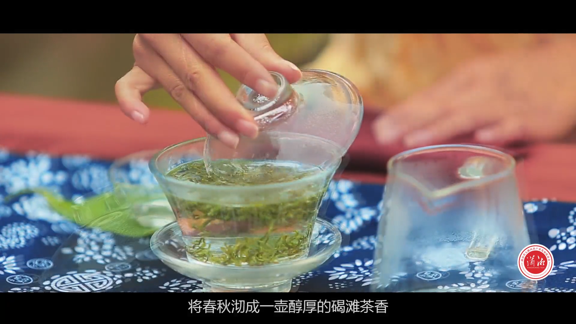潇湘茶纪录片，碣滩茶---阳光甘泉的珍藏馈赠