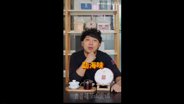 吉普号茶山TV279：熟茶中的勐海味，到底是什么味？