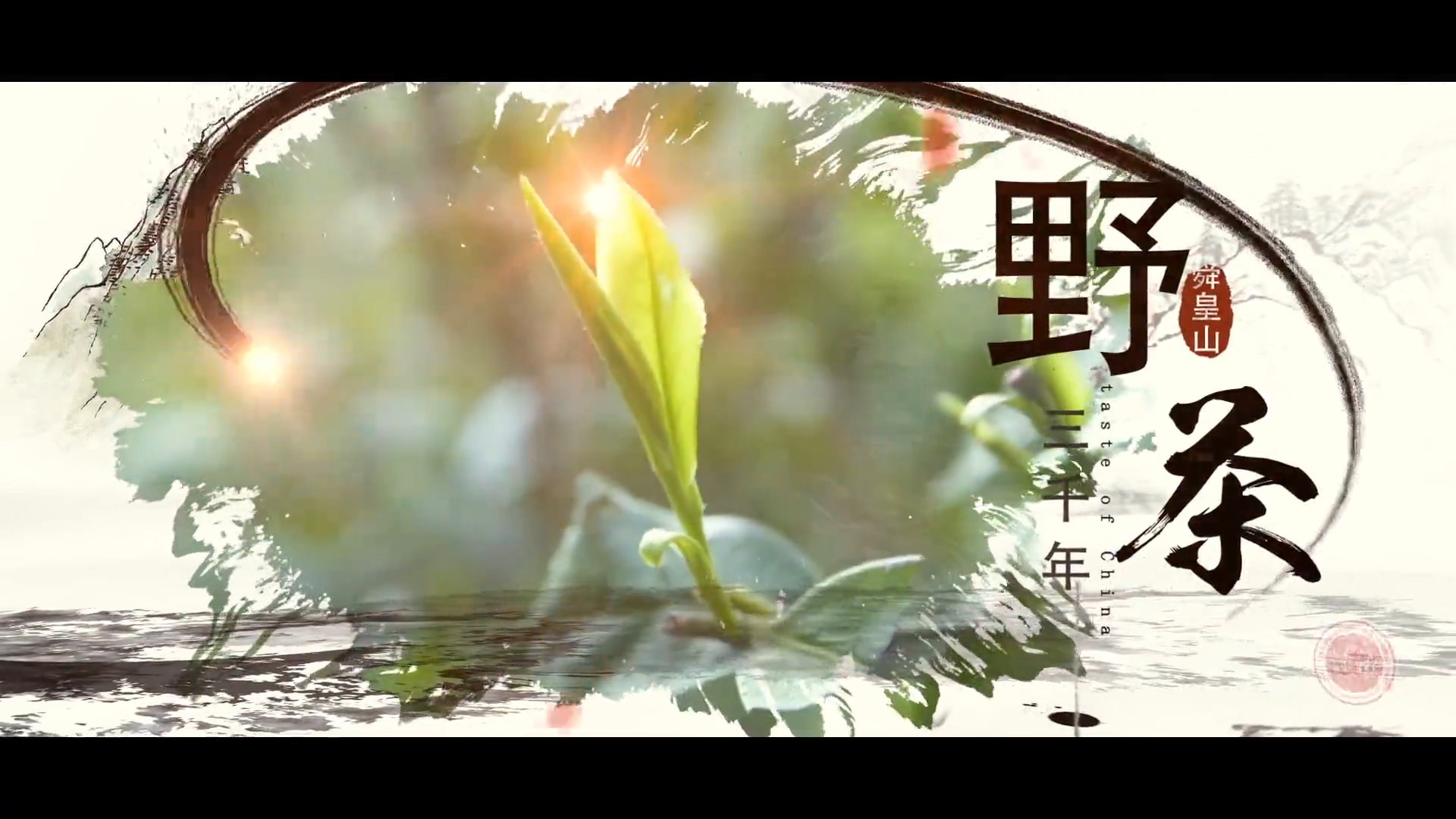 潇湘茶纪录片：新宁野茶——秘境之地 悠然茶香