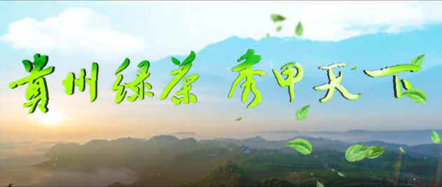 诗画镜头品味“贵州绿茶 秀甲天下”