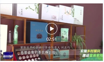 紫阳县壮大村级集体经济 夯实乡村振兴茶产业基础