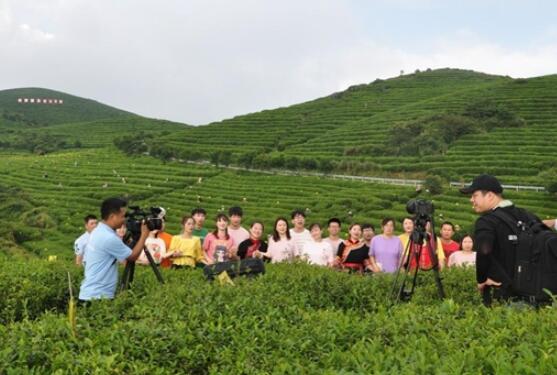 第十一届福鼎白茶开茶节主背景 为啥选中恒春源天湖山？