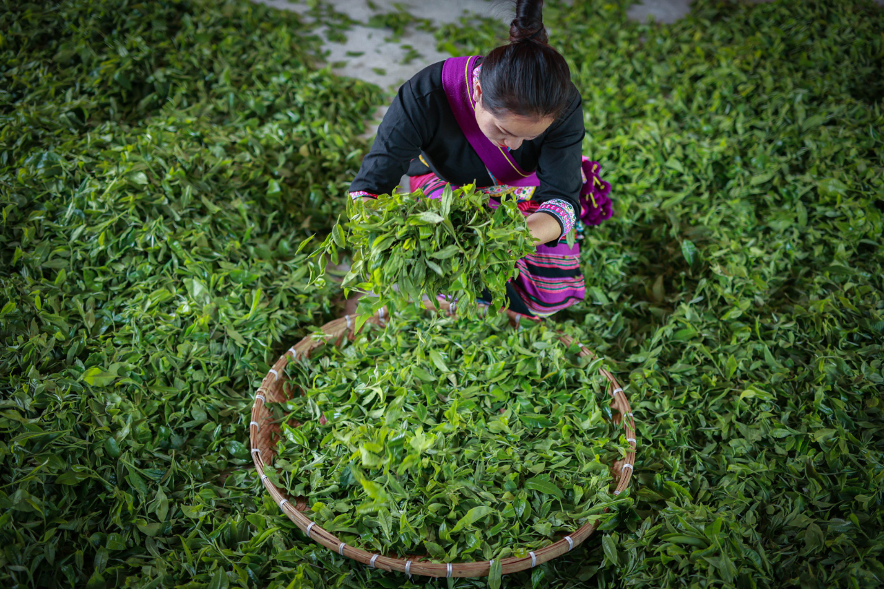 2021年茶行业的爆发增长  有哪些关键要素？