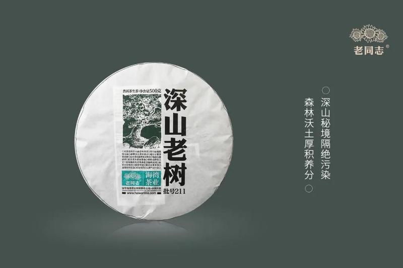 2021年老同志深山老树茶：独特烟韵，妙曼茶香