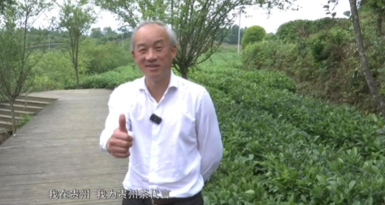 贵州省农业农村厅党组副书记、副厅长胡继承为您推介：贵州绿茶。