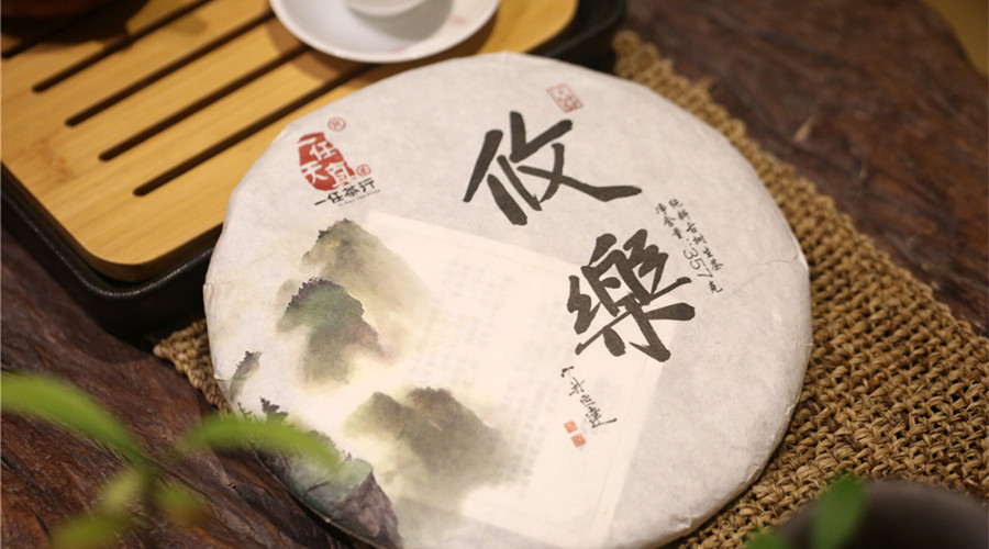 李桂榮說(shuō)茶丨攸樂(lè)山古樹(shù)純料茶：香氣濃純，飽滿而不失優(yōu)雅