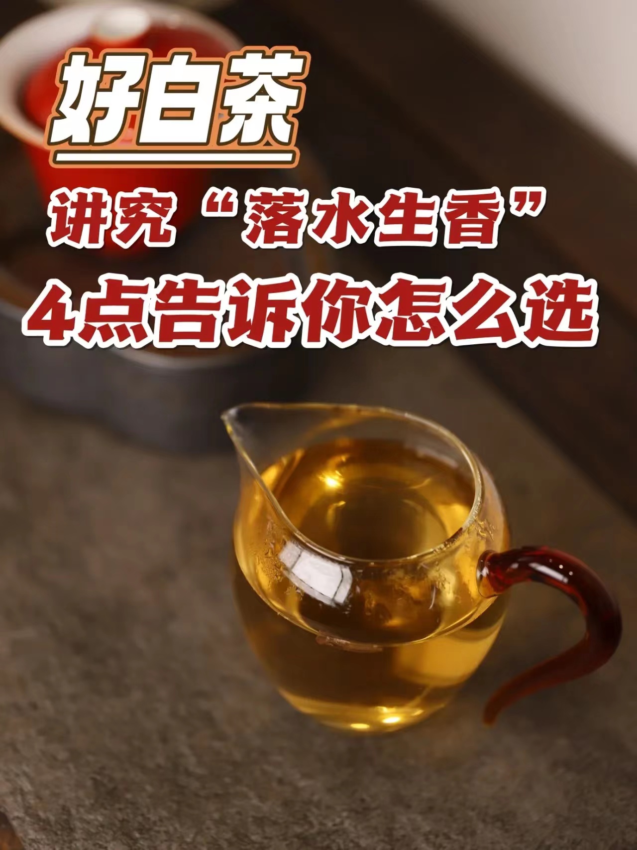 “落水生香”的信阳白茶才最好！
