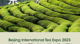 2023北京国际茶业展即将登陆北京展览馆	