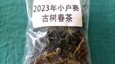 2023年小户赛古树茶鉴赏