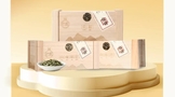 2024福鼎白茶︱天然之味，自然清鲜