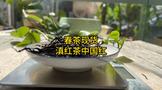 春茶现货：2024年滇红茶中国红