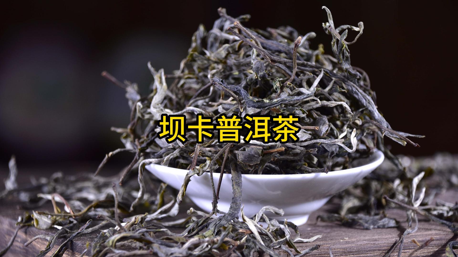 壩卡普洱茶簡介及特點