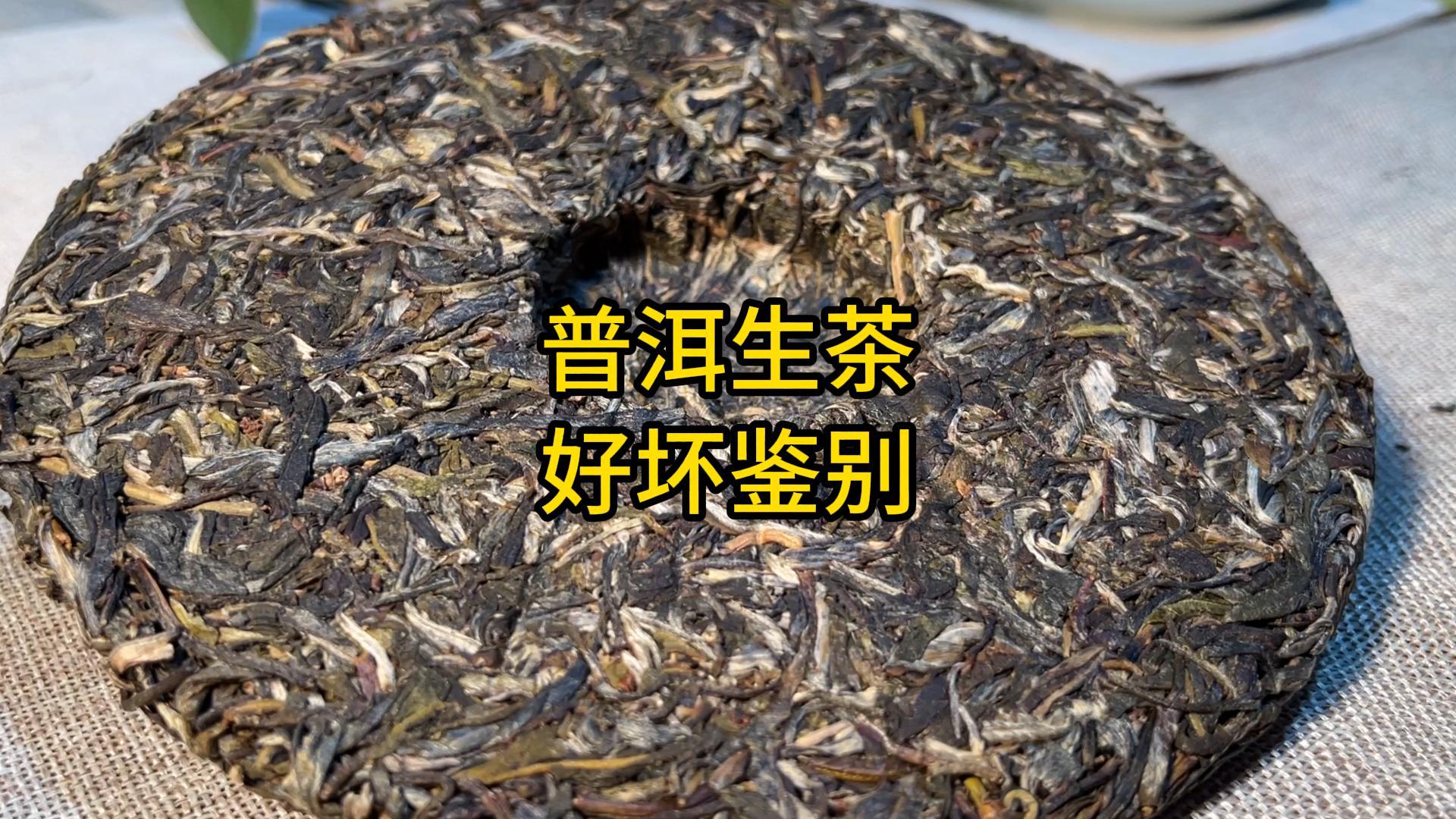 普洱茶生茶品質(zhì)好壞的鑒別方法