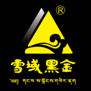 雪域黑金logo