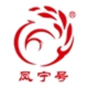 凤宁号logo