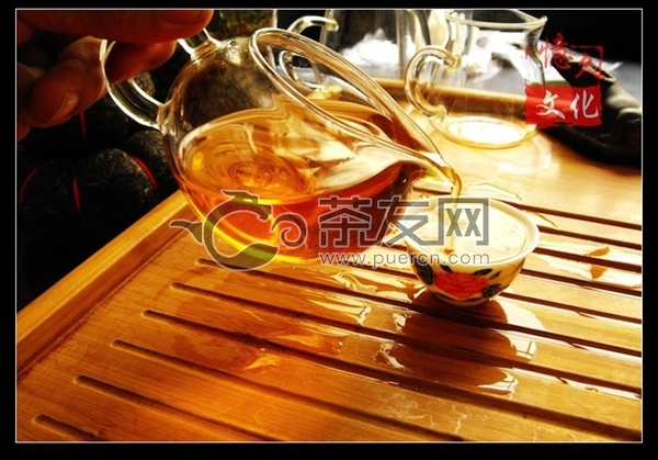勐海乔木古茶图片2