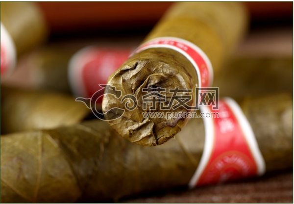 雪茄型古树普洱茶图片5