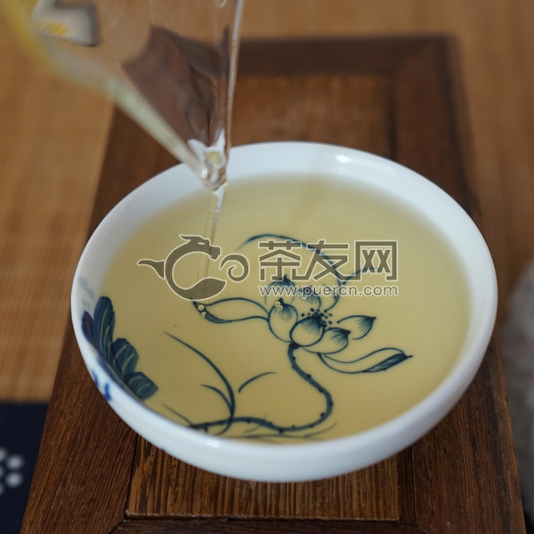 珍藏系列 茶树王图片2