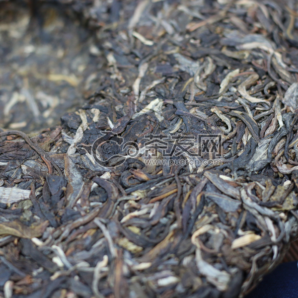 曼松古树茶图片1