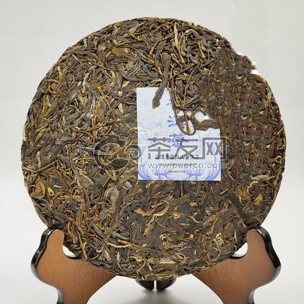 普洱山（永順）古茶樹普洱茶圖片1