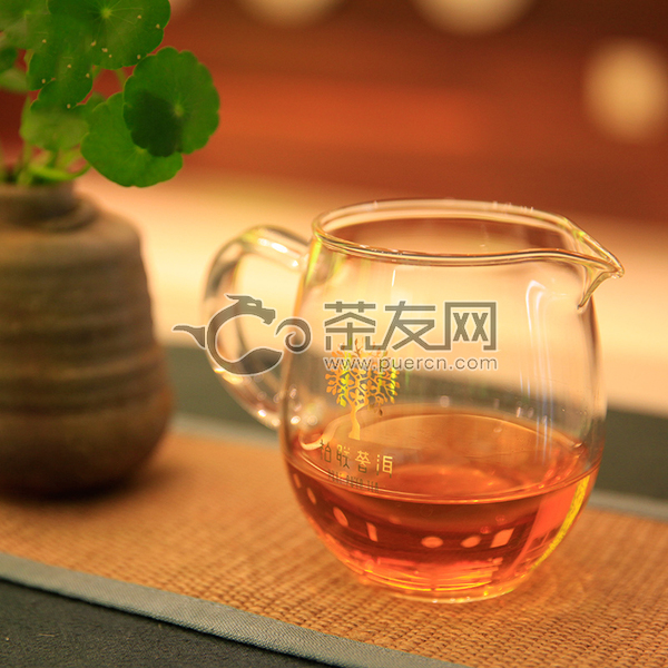 珍兰-龙珠古树茶图片1