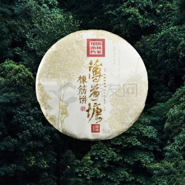 2019年雨林古茶 雨林档案·薄荷塘橡筋饼 生茶 357克