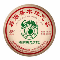 2023年兴海茶业 布朗生态青沱 生茶 250克